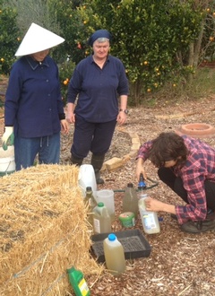 Straw Bale Challenge