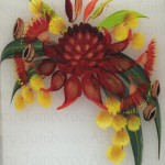 waratah-red-1