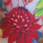 waratah-red-2