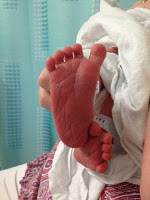 A baby's foot A baby's foot