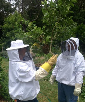 Bee Keepers Bee Keepers