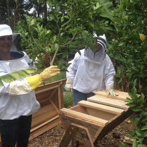 Bee Keepers Bee Keepers