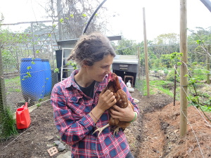 Birdie with the chook