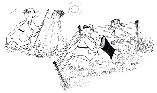 Pigs among monks Pigs among monks