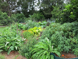 Farm plants