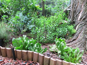 Farm plants