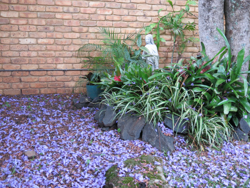 Mary under the Jacaranda Mary under the Jacaranda