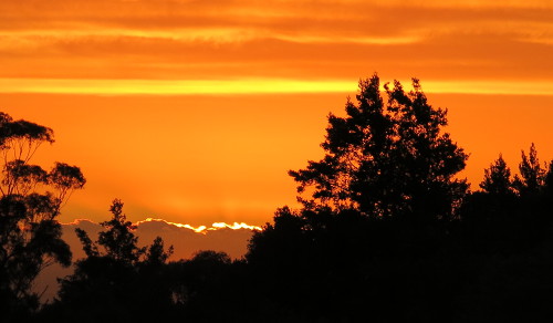Sunrise