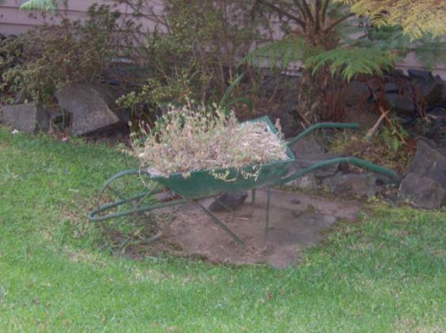 Wheelbarrow Wheelbarrow